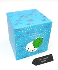 fruits theme return gifts for kids money bank