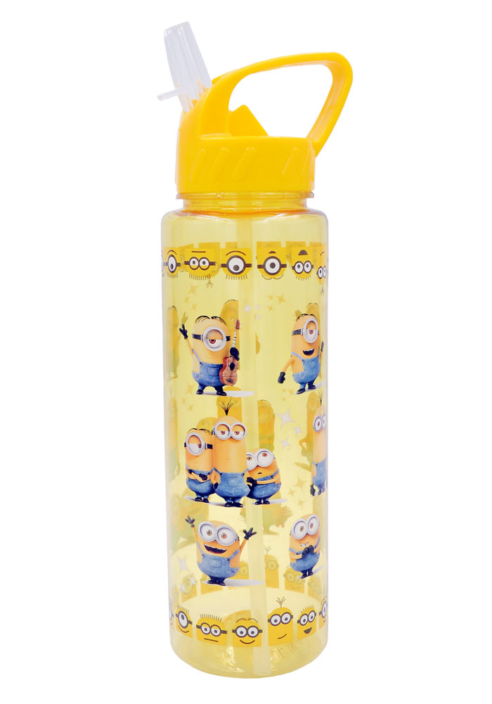 minion theme return gifts water bottle