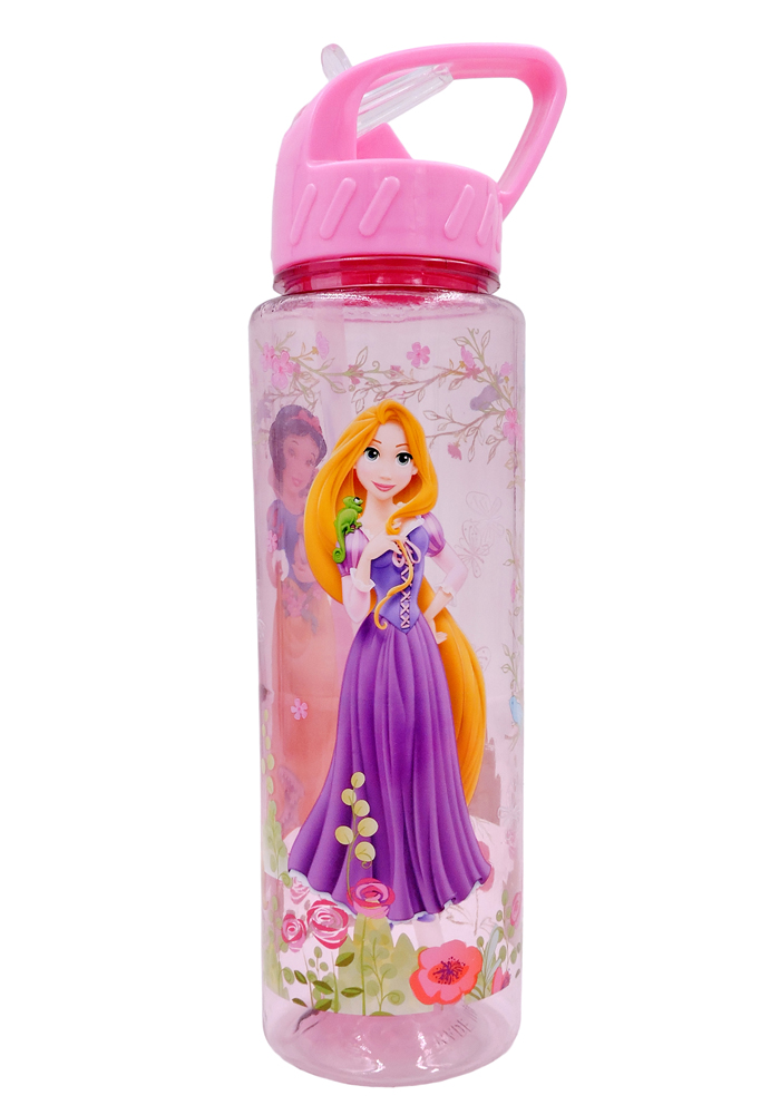 princess theme return gifts water bottle sipper