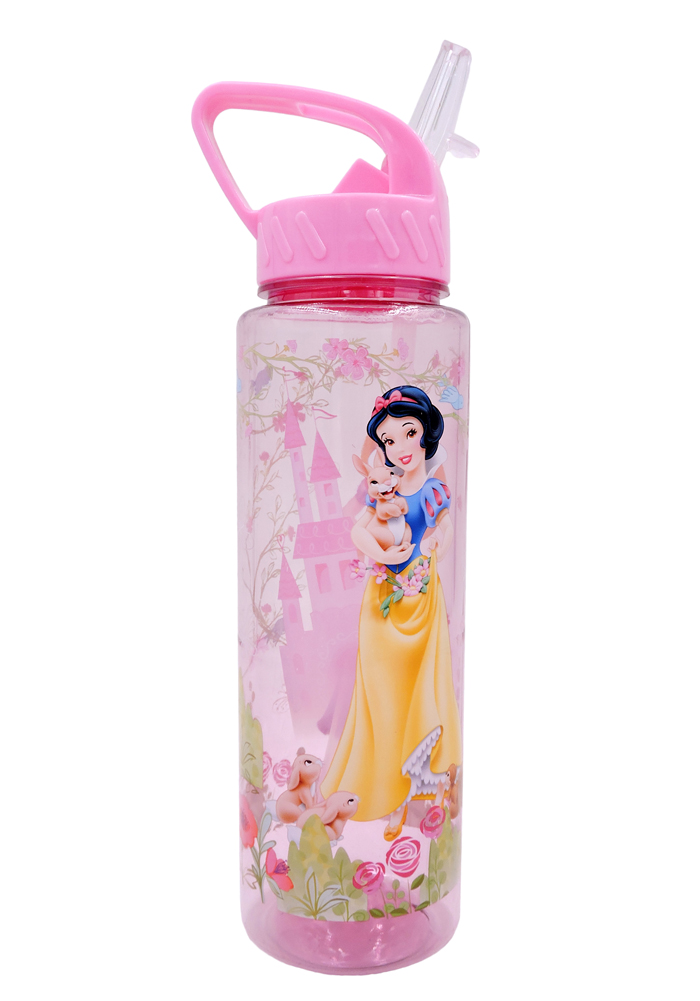 princess theme return gifts water bottle sipper