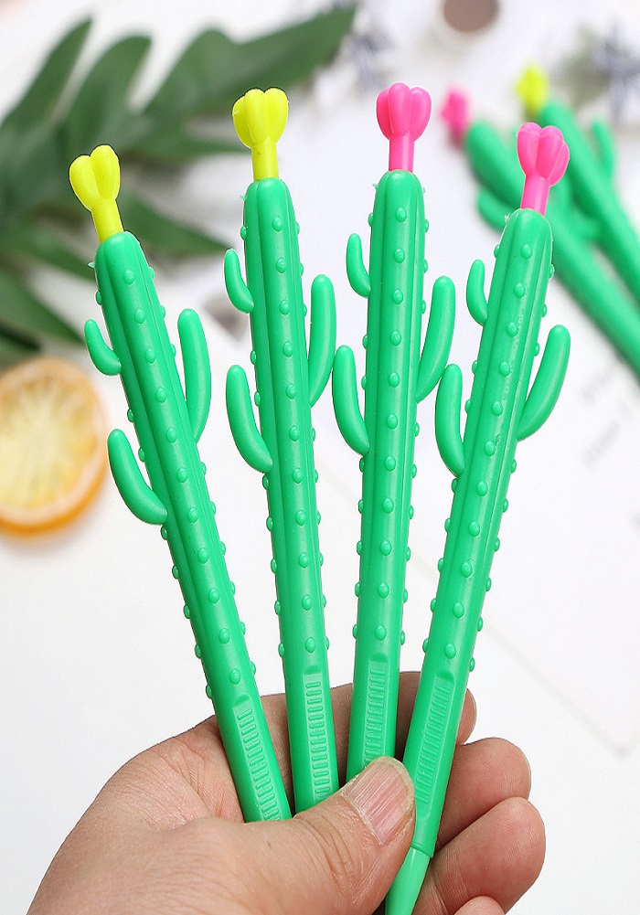 fancy cactus pen online in india