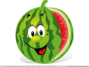 watermelon fruit themed birthday party supplies?