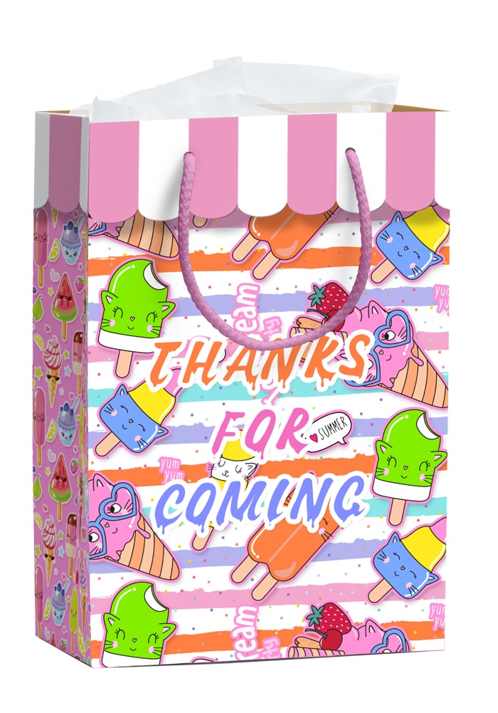 ice cream theme paper bag pink