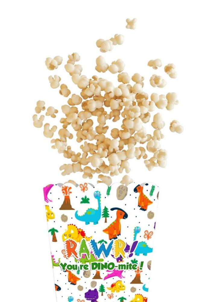 Dinosaur Theme Popcorn Box|Pack of 10|Made in India|Customize