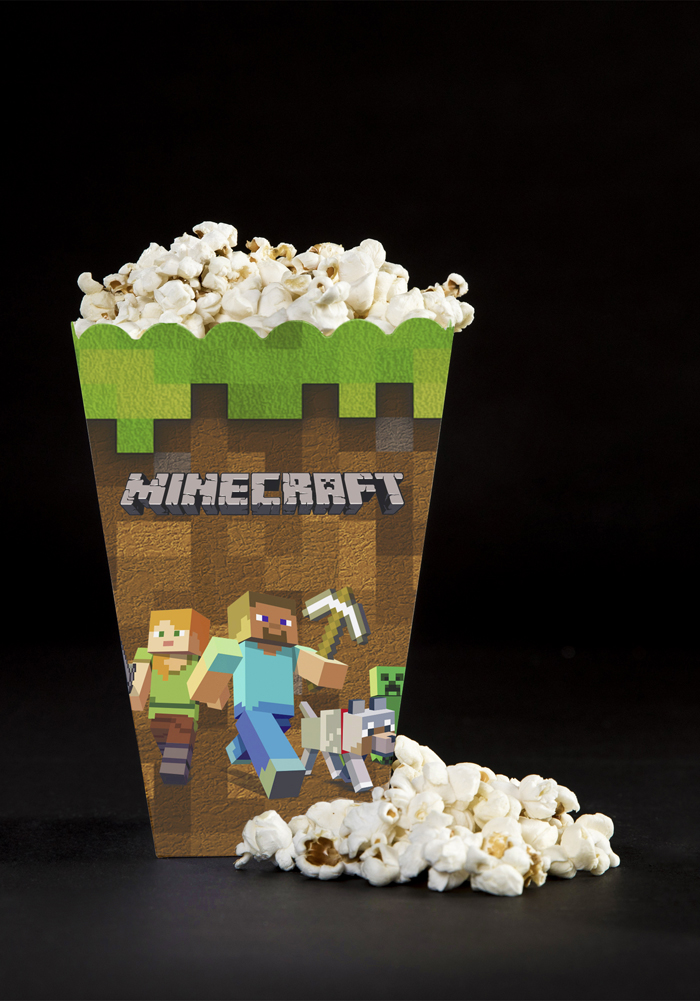 Minecraft Theme Popcorn Holder