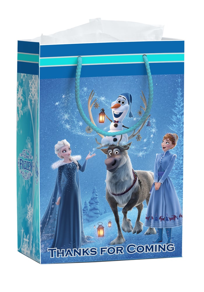 Frozen Theme Birthday return gifts