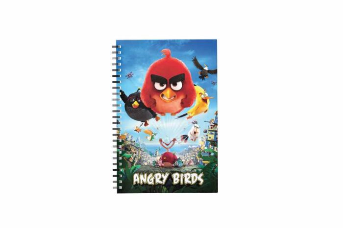 Angry birds Theme Diary for Return Gifts